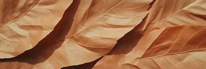 Poster - Texture of light brown paper with subtle leaf pattern and fine detailing throughout