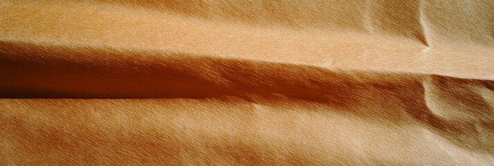 Poster - Light brown paper texture with smooth surface and compact fibers in a natural setting