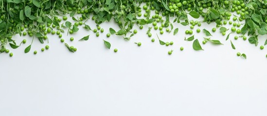 Poster - Sweet green peas scattered on a white background with vibrant green leaves positioned at the top, creating a fresh and appealing composition.