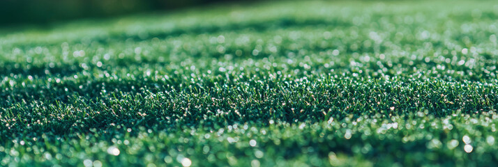 Poster - Light green fairway grass texture with short blades and sheen captured from above perspective