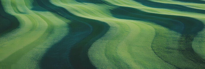 Poster - Experience the lush textures and patterns of a perfectly manicured light green fairway