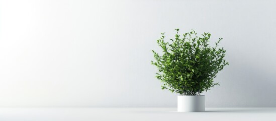 Aufkleber - Lush indoor plant with vibrant green foliage in a white pot positioned on the left against a light gray wall creating a serene atmosphere.