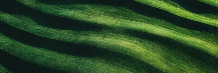 Poster - Distinctive texture of a light green fairway with clean mowing lines from a top view perspective