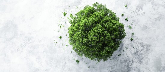 Aufkleber - Lush green tree top view on white background showcasing dense foliage with vibrant hues in circular arrangement emphasizing nature's beauty.