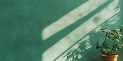 Poster - Light green wall texture with subtle grunge patterns and plant shadow in soft lighting