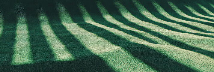 Poster - Dense ribbed carpet texture with olive green hue and striking linear shadows