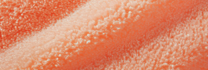 Poster - Peach dense saxony carpet with short cut pile and subtle sheen enhances any interior space
