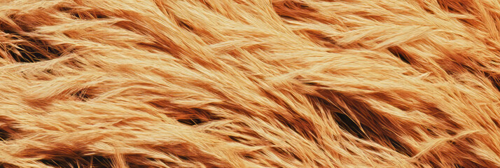 Poster - Short dry grass texture with yellowed tips showcasing natural patterns and sparse appearance