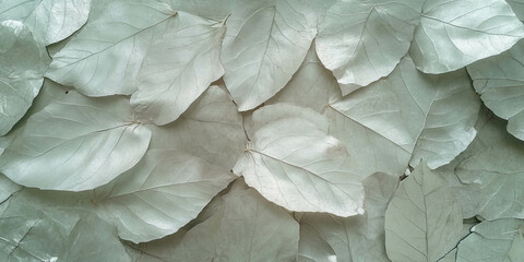 Poster - Silver deep leaf wall texture with flaking and grunge markings showcasing natural depth