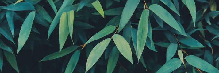 Aufkleber - Stylized bamboo leaf pattern showcasing lush dark greens and textured finish