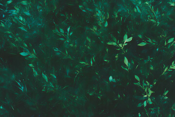 Fototapete - Varied green meadow texture with longer grass and highlights against a dark background