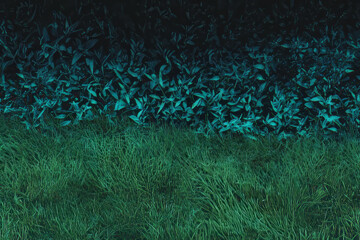 Poster - Varied meadow texture with diverse grass height and subtle color changes against a dark background