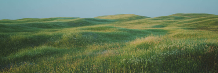 Poster - Varied meadow with unique grass heights and subtle color changes in natural landscape