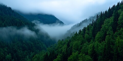 Canvas Print - Misty mountain forest valley, scenic view, nature background, travel poster