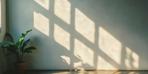 Poster - White wall texture with grey effect and shadows from indoor plants during daylight