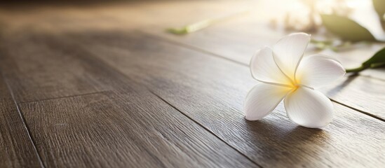 Aufkleber - Frangipani flower on wooden floor with soft sunlight creating a serene and tranquil atmosphere in natural interior decor