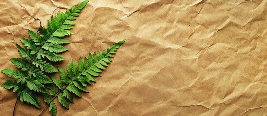 Aufkleber - Colorful green fern leaves on crumpled brown paper texture creating a natural background for text and design elements.