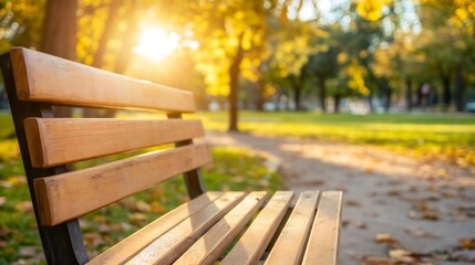 Wall Mural - Empty park bench in autumn sunlight. Represents peaceful moments, natural settings, and outdoor serenity.