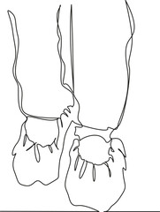 Wall Mural - One continuous single drawing line art flat doodle foot, hygiene, boot, hospital, protection, blue, disposable, medicine. Isolated image hand draw contour on a white background, hand drawn, not AI