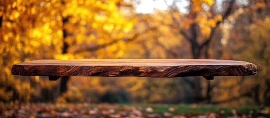 Wall Mural - Wooden table in autumn park surrounded by vibrant fall colors with ample space for text and advertisements in a high quality image