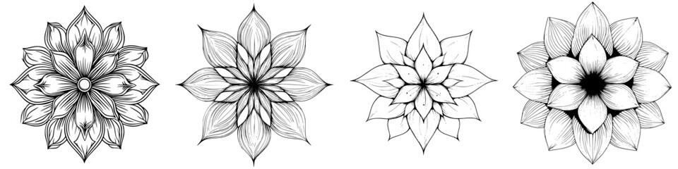 Poster - Diverse collection of floral designs showcasing intricate line work and unique petal arrangements