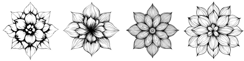 Poster - Intricate floral designs showcasing various patterns and details in black and white illustration style
