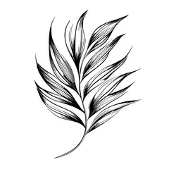 Wall Mural - Elegant black and white illustration of a tropical leaf showcasing intricate details and textures