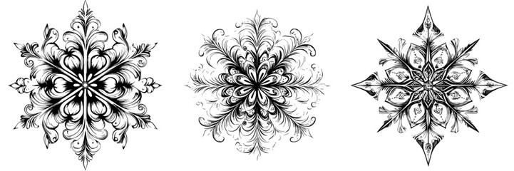 Poster - Elegant black and white ornate floral designs suitable for decorative arts and crafts activities