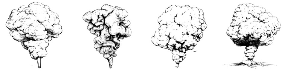 Poster - Smoke patterns in various shapes and densities swirling and rising from different sources in a monochrome style