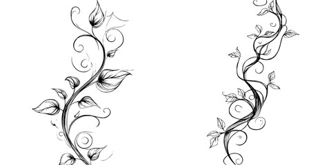 Poster - Intricate black and white vine illustrations with swirling details displayed on a clean background