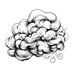 Poster - Swirling clouds with intricate patterns create a unique artistic representation of nature's beauty