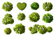 © Chanya_B - Vector set of Top view green tree for outdoor plan or map and architecture drawing, elements for environment and garden ,botanical elements ,Blooming flowers in spring,tropical plants element