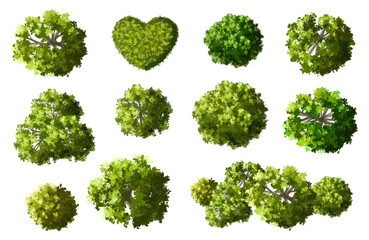 Wall Mural - vector set of top view green tree for outdoor plan or map and architecture drawing, elements for env