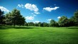 © Hammam - Serene Landscape: A Stunning View of Lush Green Grass, Trees, and a Bright Blue Sky