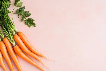 Poster - clean photo of fresh carrots arranged horizontally in line displayed on smooth background with soft natural light and