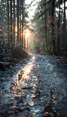 Aufkleber - Rain-drenched forest trail glowing under golden hour light, autumn leaves creating vibrant warmth, cinematic storytelling emphasizing serene beauty