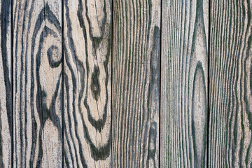 Wall Mural - Unique wooden textures captured in natural light on planks