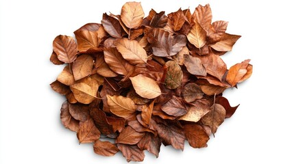 Poster - Pile of Leaves on White