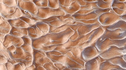 Poster - Detailed texture of a weathered natural rock surface with a rough irregular pattern in earthy tones of brown orange and tan
