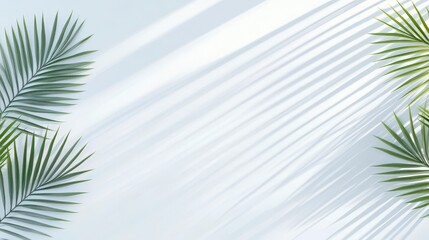 Poster - Lush green palm leaves cast shadows on a soft blue background, creating a tranquil and refreshing atmosphere.