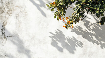 Poster - Green leaves cast interesting shadows on white wall in bright daylight