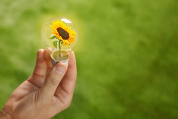 Wall Mural - Man holding light bulb with sunflower inside against green background, closeup. Green energy concept