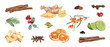 © Masha_tolk_art - Watercolor healthy spice, fruit, berry ingredients for drinks illustration. Lingonberry, sea buckthorn, cardamom, star anise, lime, clove, cinnamon, ginger, orange and apple for cooking recipe