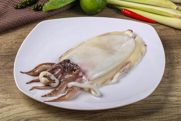 Wall Mural - Raw fresh cuttlefish for cooking