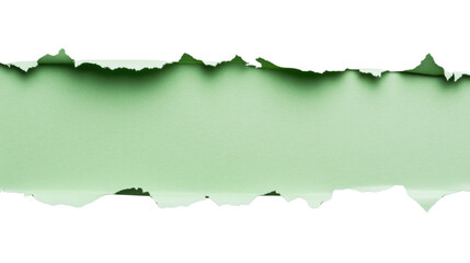Poster - Ripped green paper with transparent background creating copy space