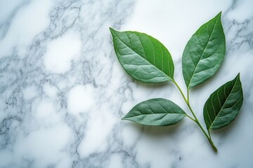 Fototapete - Fresh green leaves resting on a clean marble surface highlighting nature's simplicity and elegance in a serene indoor setting