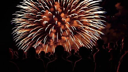 Poster - Silhouetted spectators watching vibrant fireworks illuminating dark night sky, colorful pyrotechnic explosions creating mesmerizing display of light and joy during festive celebration