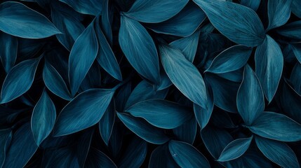 Aufkleber - Soft, elongated leaves of Agave attenuata spread out elegantly, displaying rich greenish-blue tones. The captivating textures invite a closer look, evoking a serene natural environment