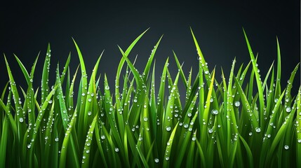 Wall Mural - Fresh grass with water droplets in a dark background