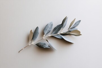 Poster - A single olive branch lies gracefully on a matte white surface, showcasing soft-focus blurred edges and emphasizing a luxurious, minimalistic botanical design in ultra-HD detail